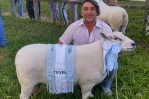 Paulo Freire, productor ovino