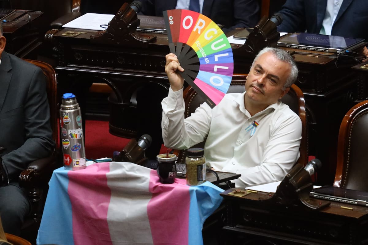 Diputados, en vivo: aprobaron la suspensión de las PASO y sigue la sesión hoy, minuto a minuto