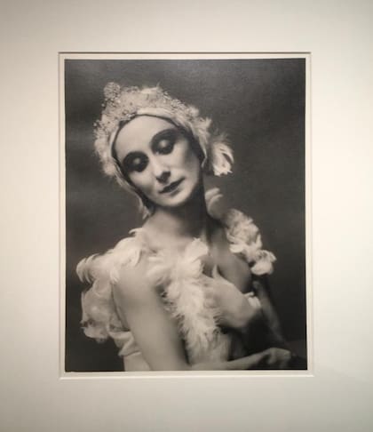Pavlova es el ave "original" de la sublime miniatura coreográfica que hoy sigue dando la vuelta al mundo, "La muerte del cisne", una pieza que creó Michel Fokine en 1905 especialmente para ella