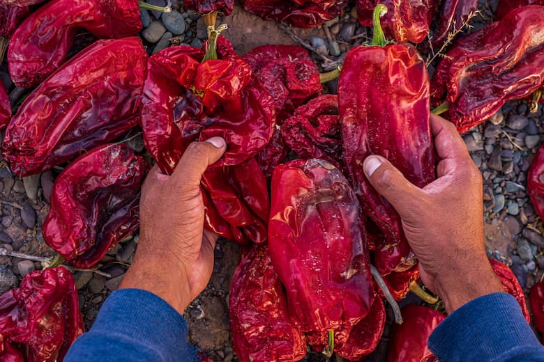 De Payogasta a Angastaco: la ruta del pimentón en Salta