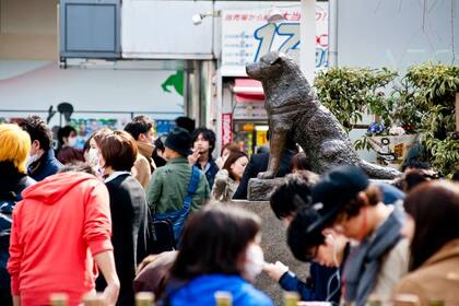 Peatones atravesando la plaza de la estación de Shibuya, presidida por la estatua del perro 'Hachiko'.
KEITH TSUJI (GETTY IMAGES)