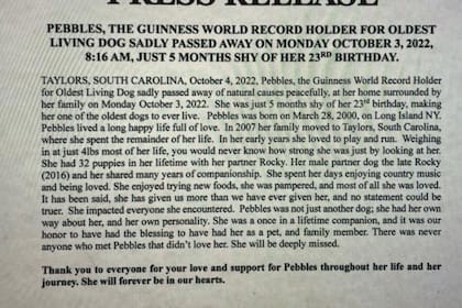 Pebbles era el perro certificado como más longevo del mundo y falleció este 3 de octubre