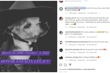 Pebbles era el perro certificado como más longevo del mundo y falleció este 3 de octubre