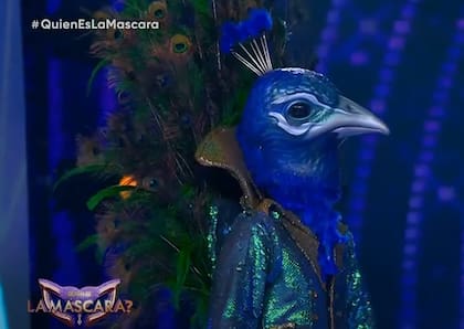 Pedro Alfonso participó en ¿Quién es la máscara? disfrazado de un pavo real