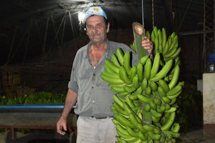 Pedro Bondaruk, uno de los productores que debió dar bananas a las vacas