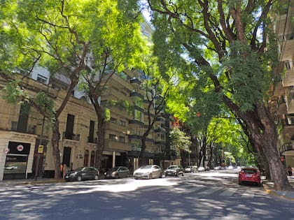 Pedro Goyena es la avenida más arbolada y cotizada del barrio