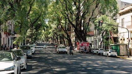 Pedro Goyena es una de las avenidas más aspiracional de Caballito