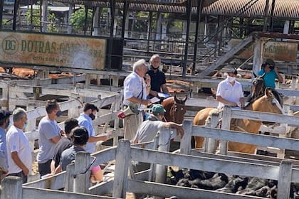 Pedro Somma, de a caballo, escucha cómo remata hacienda Oscar Subarroca