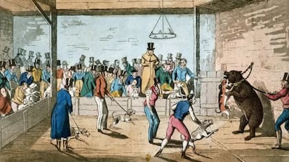 Pelea de osos y perros o "bear baiting" en Londres en 1820.