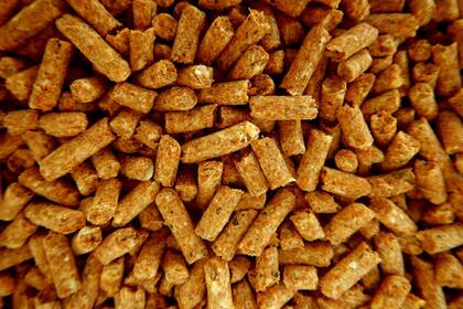 Pellets de soja que son materia prima para la industria