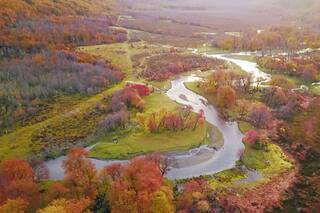 Península Mitre es una "aspiradora de carbono" y buscan que sea área protegida