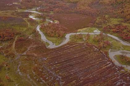 Península Mitre, el punto de captura de carbono más importante de Argentina