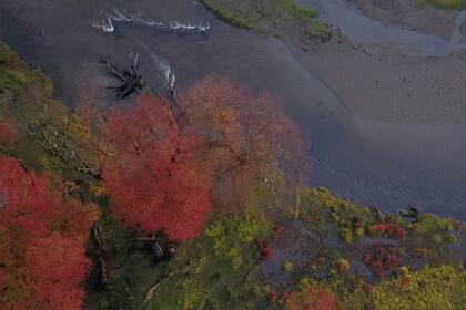 Península Mitre es una aspiradora de carbono