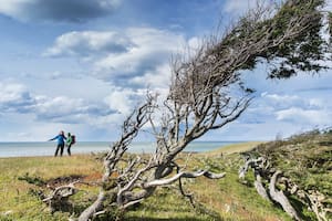 Península Mitre: El último confín del mundo, que espera ser parque