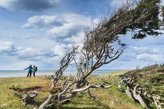 Península Mitre: El último confín del mundo, que espera ser parque