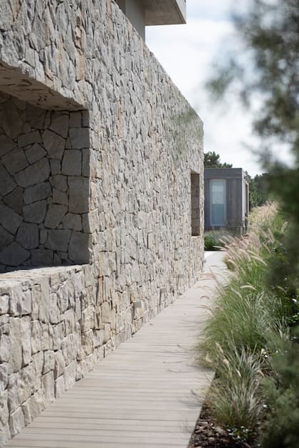 Pennisetum rupelli, Verbena bonariensis, tamariscos y raphiolepis invitan a un recorrido hacia el jardín trasero