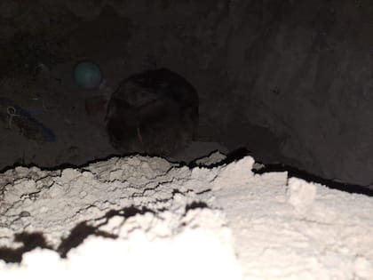 "Pensé que había llegado tarde".