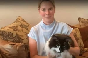 Pensó que su gato estaba muerto, lo cremaron y lo que pasó después los dejo a todos sin palabras