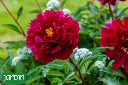 Detrás de su perfección hay una lección silenciosa sobre el paso del tiempo