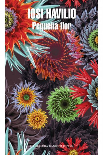 Pequeña flor está basada en libro del argentino Iosi Havilio. El guion fue escrito por Santiago Mitre y Mariano Llinás. El 8 de junio se estrenará en Francia y el 23, en la Argentina.