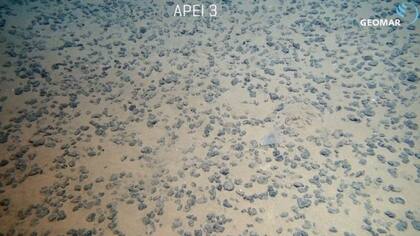 Pequeñas rocas conocidas como nódulos que se encuentran en el lecho marino