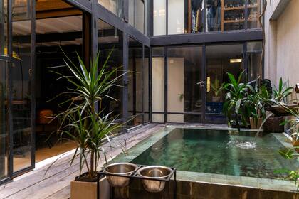 Pequeño jardín, con plantas y pileta de piedras energéticas procedentes de Bali