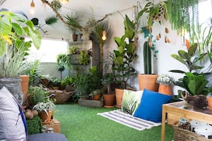 Diseño. Cómo crear un jardín en un ambiente interno