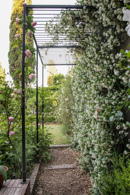 Pequeños cuidados que generan grandes floraciones