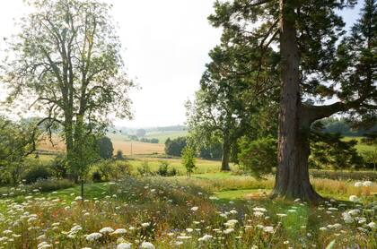 Pequeños espacios de césped mantenidos dentro de los prados brindan lugares para hacer picnics de verano en medio de las flores.