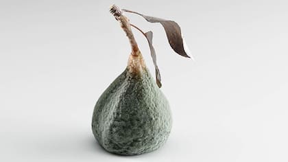 Pera de San Juan, plato fermentado creado en Mugaritz