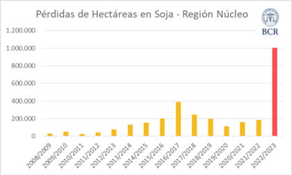 Pérdida de hectáreas en soja en la región núcleo