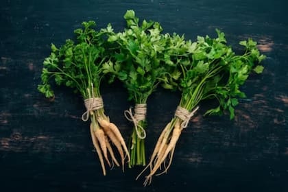 Perejil, el aliado verde (Foto: Freepik)