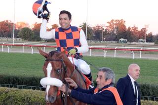 El Pellegrini. Lo descubrió Pepe Sand y corre al potrillo que nadie podía montar