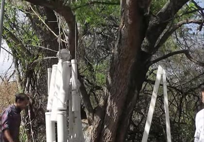 Peritajes por las muertes de Yanina Nüesch y Luján Peñalva, halladas ahorcadas, colgadas de un árbol, en Salta