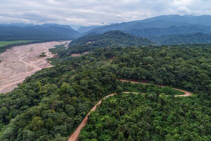 Perito Nacional Calilegua, en la nuboselva jujeña