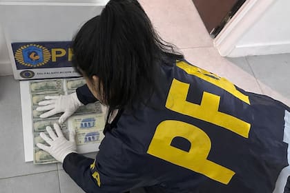 Peritos de la PFA analizaron los billetes secuestrados en los allanamientos