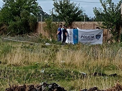 Peritos de la policía bonaerense trabajaron en el lugar del hallazgo de restos humanos