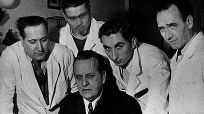 Pernkopf y sus ilustradores