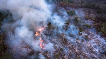 Pero "otro factor preocupante es el aumento de áreas que no fueron cortadas, pero están degradadas por incendios o retirada de madera"