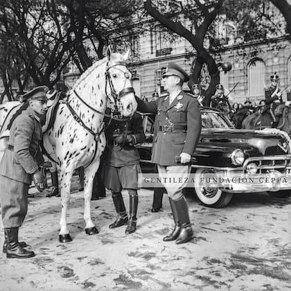 Perón antes de montar su caballo Mancha, y pasar revista a las tropas que desfilarán frente al Círculo Militar durante los festejos del 9 de julio de 1951.