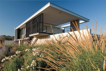 Perovskias, pennisetums, alstroemerias
y salvias (S. guaranitica) en la zona contigua a los dormitorios.