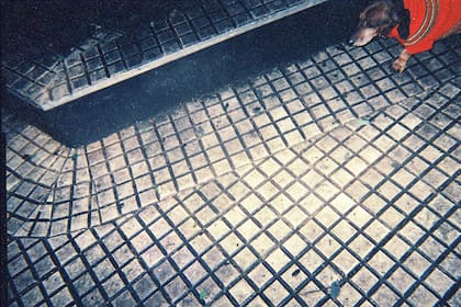 Perro se asoma en la vereda (2002, autor anónimo)