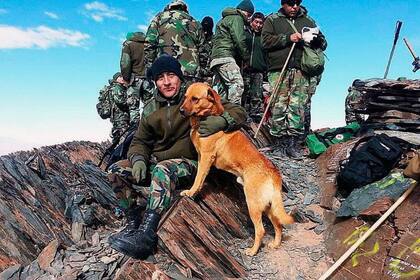 Perros de guerra, los mejores amigos del soldado; en la imagen, Cabo, el perro sargento