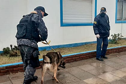 Perros de rastreo buscaron pistas sobre el paradero de Facundo Astudillo Castro