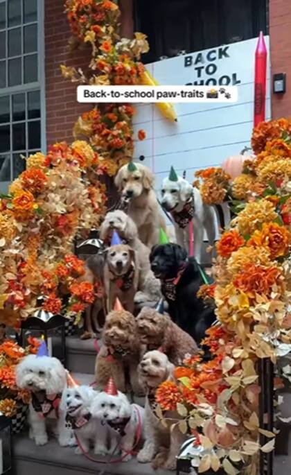 Perros se toman fotografías frente a la casa de Kristi Hemric (Instagram/@khemric)