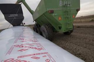 El panorama de precios para 2025 obliga a diferenciar escenarios por productos