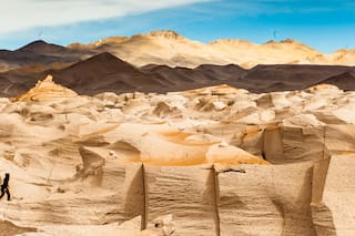 El plan para preservar un paraíso de flamencos y biodiversidad que irrumpe en un desierto inhóspito