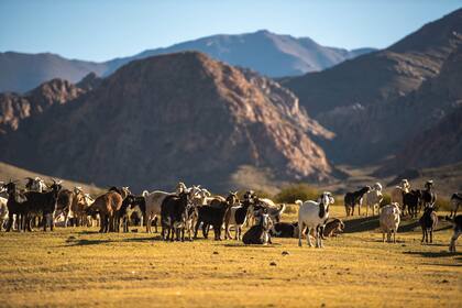Personajes de la quebrada de Bauchazeta