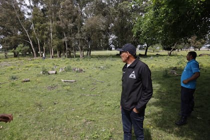 Personal de Defensa Civil continua con la búsqueda del puma en campos y barrios cercanos a Santa Clara del Mar.