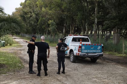 Personal de Defensa Civil continua con la búsqueda del puma en campos y barrios cercanos a Santa Clara del Mar.